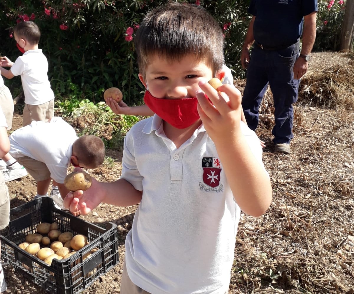 Children on Potato Day