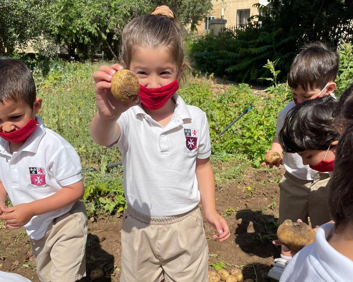 Children on Potato Day