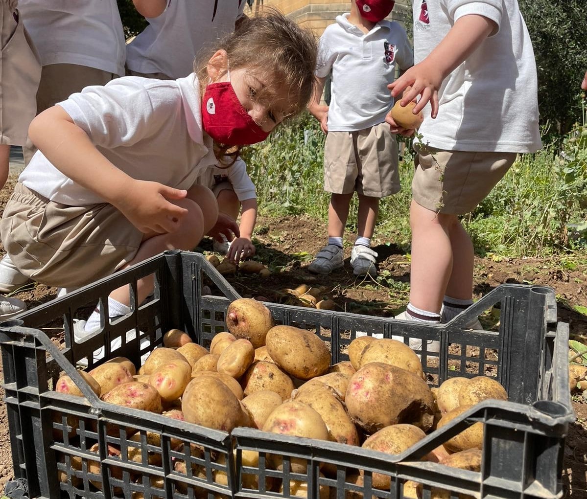Children on Potato Day