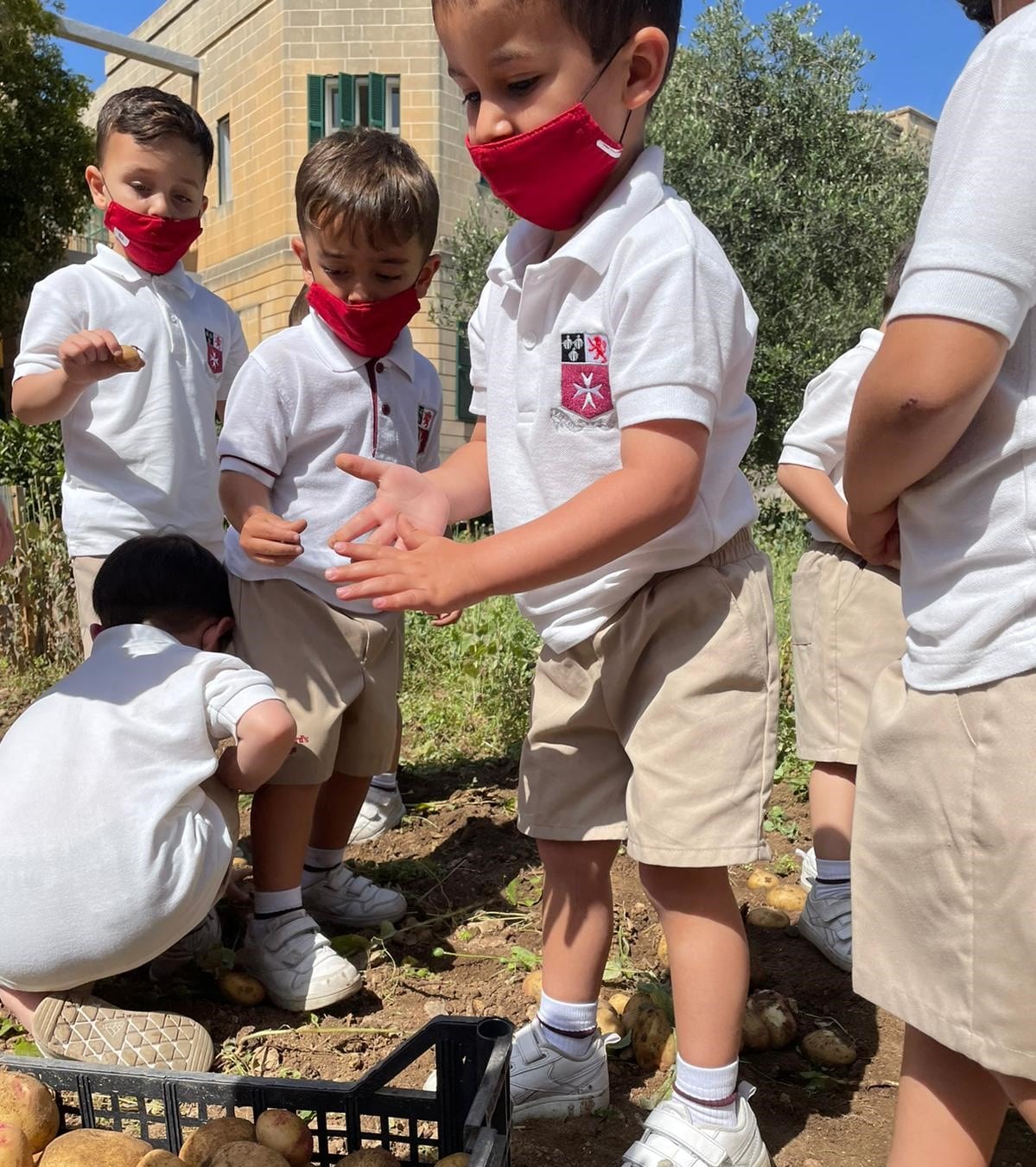 Children on Potato Day