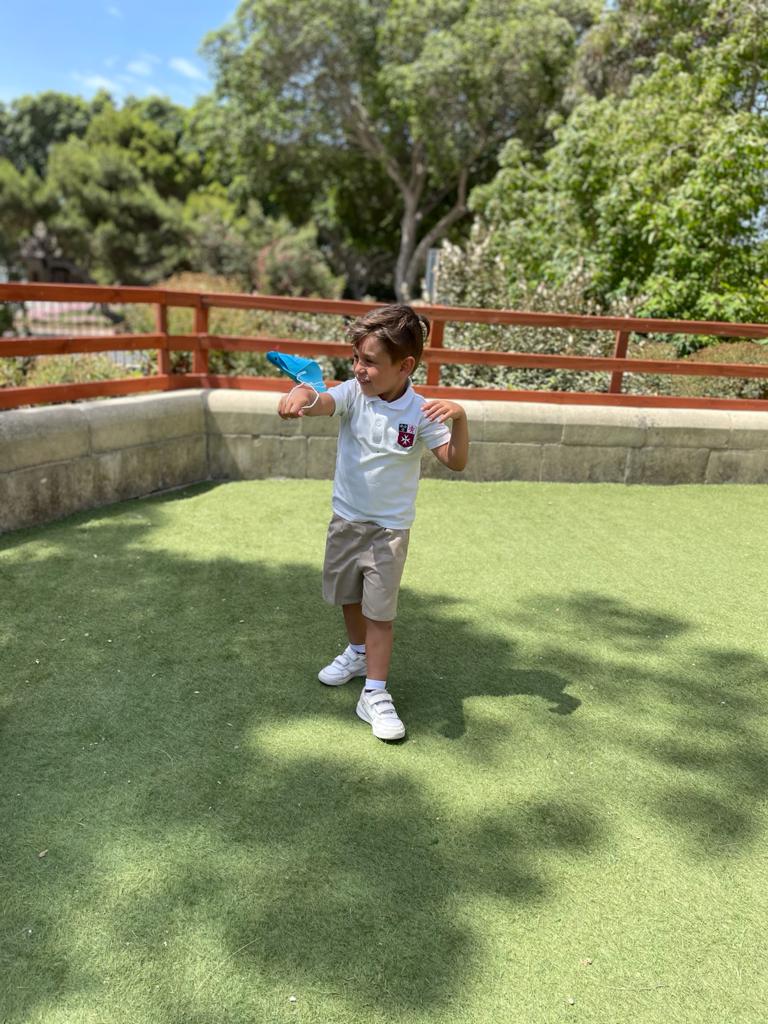 Kite flying 6