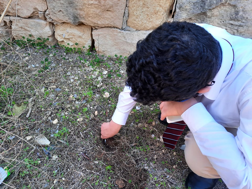 Setting pitfall traps