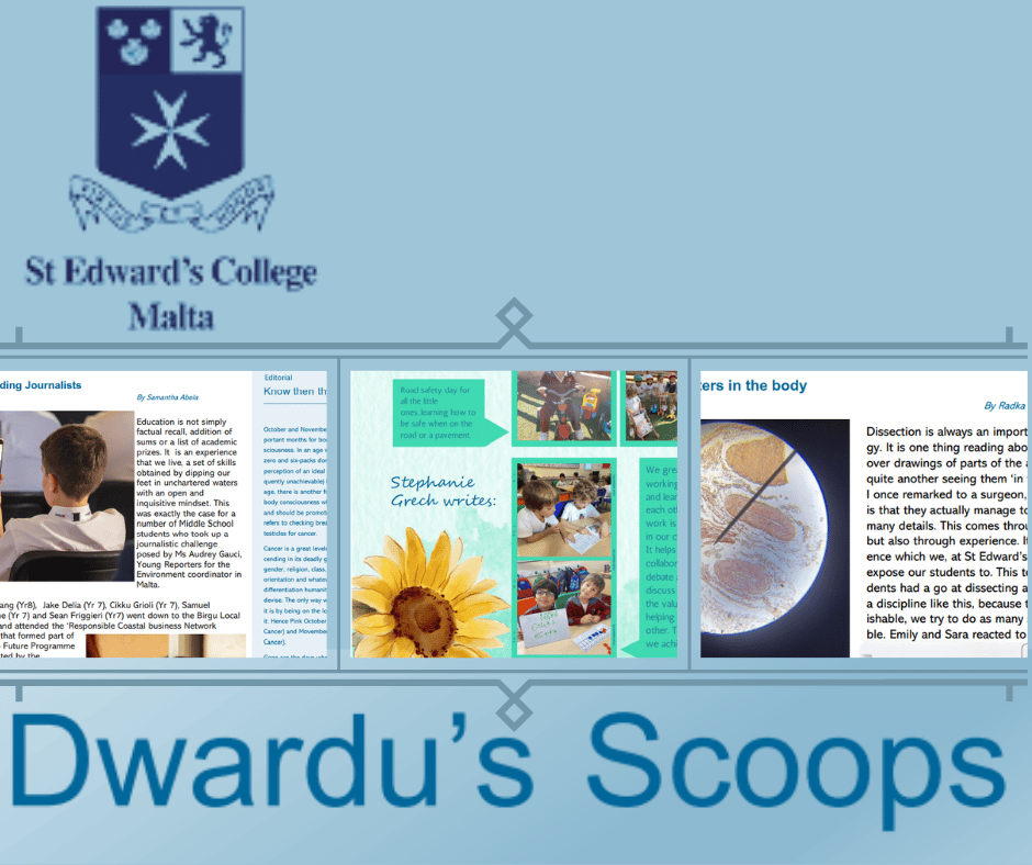 Dwardu’s Scoops – Of Volcanos and craters