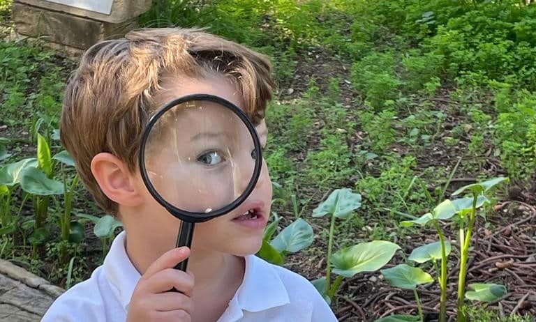 In search of creepy crawlies