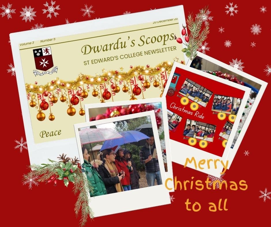 Peace and goodwill – in Dwardu’s Scoops for Christmas