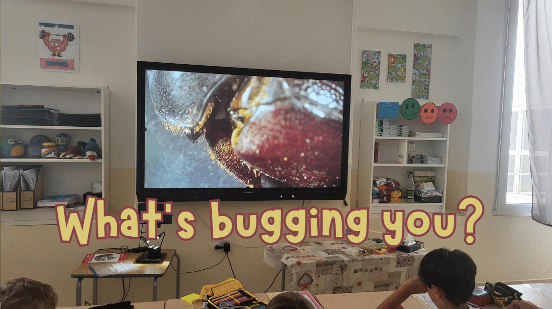 Creepy Crawlies on agenda!
